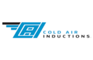 Cold Air Induction